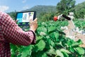 Smart robotic farmers strawberry in agriculture futuristic robot automation to work