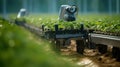 Smart robotic futuristic farmers working on field Agriculture technology, Farm automation