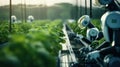 Smart robotic futuristic farmers working on field Agriculture technology, Farm automation