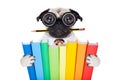 Smart school dog Royalty Free Stock Photo