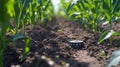A smart sensor attached to a crop analyzing soil quality for optimal decision making