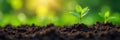 Smart sensors monitor soil, aiding plant growth via gentle hand watering , digital agriculture, farming