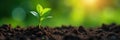 Smart sensors monitor soil, aiding plant growth via gentle hand watering , soil moisture sensor, data driven agriculture, farming