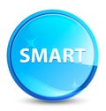 Smart splash natural blue round button