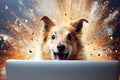 Smart and surprised dog using laptop with space for text and blank screen, technology concept Royalty Free Stock Photo