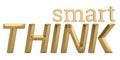 Smart think logo isolated on white background 3D illustration