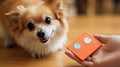 Smart Wallets Device For Happier And Healthier Dogs And Owners