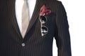 Smart well dressed man Royalty Free Stock Photo