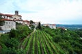 Smartno, Brda, Slovenia wine region