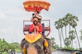 Smartphone addiction. Man absorbed by cell phone while riding an elephant