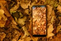 Smartphone autumn foliage faded leaves background