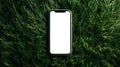 Smartphone with blank screen lying on green grass surface outdoors in daylight. Royalty Free Stock Photo