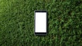 Smartphone with blank screen lying on green grass surface outdoors in daylight. Royalty Free Stock Photo
