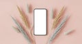 Smartphone with blank screen surrounded by decorative dried grass on a pink background flat lay Royalty Free Stock Photo