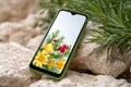 Smartphone displaying Easter egg and spring flowers on rocks Royalty Free Stock Photo
