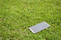 Smartphone drop on green grass in public park