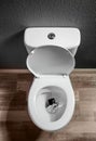 Smartphone dropped into toilet bowl indoors Royalty Free Stock Photo