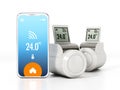 Smartphone and thermostatic radiator valves with LCD screen. 3D illustration