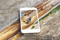 Smartphone with transparent screen propped on wooden bench.