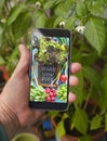 Smartphone with vegan recipe app in front of homegrown vegetables