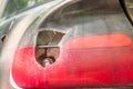 Smashed and damaged rear stop light on the car, broken by vandals or in crash accident close up Royalty Free Stock Photo
