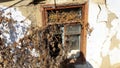 Smashed glass Window with old wooden frame on grunge wall damaged house Royalty Free Stock Photo