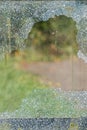 Smashed pane of broken window glass. Safety glass shattered by v Royalty Free Stock Photo