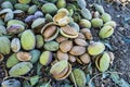 Smashing almond with stone, pouring almonds, eating almonds is good for health, natural almonds, dry almond seeds