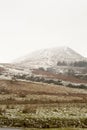 Smattering of Snow. Royalty Free Stock Photo