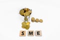 SME & x28;Small and Medsize Enterprises& x29;, business/finance concept.Word SME written on wooden cubes.