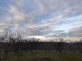 Smederevo Serbia Podunavlje district orchard in the winter Royalty Free Stock Photo