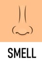 Smell sense icon