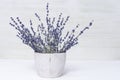 Smelling lavender flowers in pot. Bunch of natural lavender on wooden background Royalty Free Stock Photo