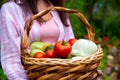 Smells like freshly picked vegetables. farmer holding basket with harvest from vegetable garden