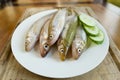 Smelt Fish (Osmerus eperlanus)