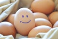 Smile brown hen egg in bag Royalty Free Stock Photo