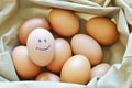 Smile brown hen egg in fabric bag Royalty Free Stock Photo