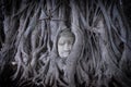 Smile Buddha head covered by tree root at wat Mahathat in Ayutthaya. Thailand Royalty Free Stock Photo