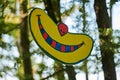 Smile of Cheshire cat hanging art object in public park, funny cute smile hanging in woods