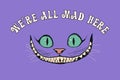 Smile of a cheshire cat for the tale Alice in Wonderland Royalty Free Stock Photo
