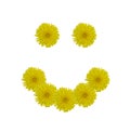 Smile concept isolated on white background. Happy floral smile