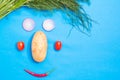 Smile concept,Organic fresh colorful vegetables with potatoes, tomatoes,coriander,chili, onion. Royalty Free Stock Photo