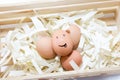 Smile Eggs Royalty Free Stock Photo