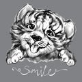 Smile funny tiger head for tee print design for kids. Black, grey, white cute baby tiger face, portrait. Little baby animal vector