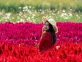 Smile happy Asian woman in colorful red celosia flower garden