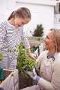 Smile, mother and child in garden with plant, laughing or family bonding together outdoor in summer. Happy mom, girl and Royalty Free Stock Photo