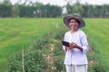 Smile old asian women farmer using tablet in the green farm