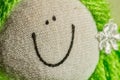 Smile. Rag doll face smiling in detail Royalty Free Stock Photo