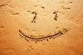 Smile on the sand Royalty Free Stock Photo