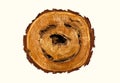 Smile-shaped log of wood.